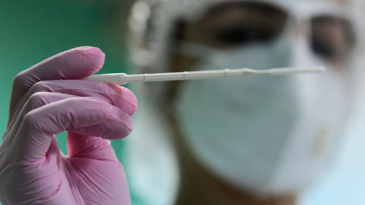 Ученый раскрыл подробности об обнаруженных в России мутациях коронавируса