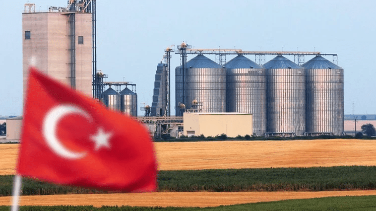 В Турции заявили о создании «операционного центра» для вывоза зерна из Украины