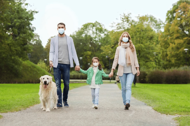 Владельцы собак больше подвержены коронавирусу