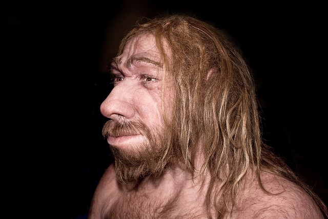 Люди унаследовали форму носа от неандертальцев