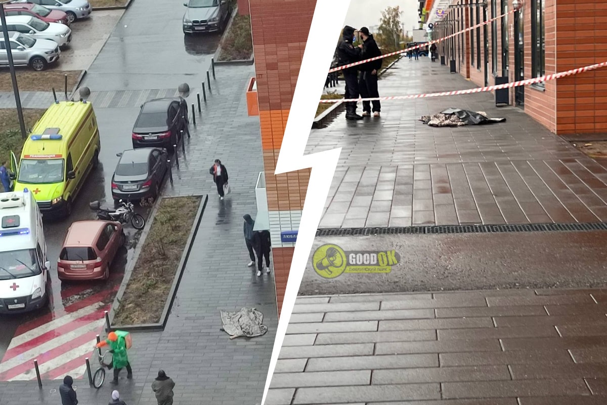 «Мама, я не хочу!» В Москве женщина пыталась выбросить дочь из окна многоэтажки и упала сама