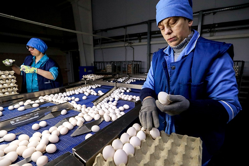 ФАС возбудила дела в отношении производителей яиц в Крыму и Кировской области
