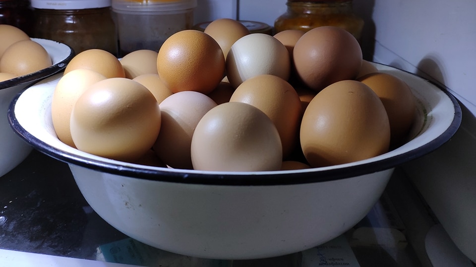 Яйца в России продолжают дорожать
