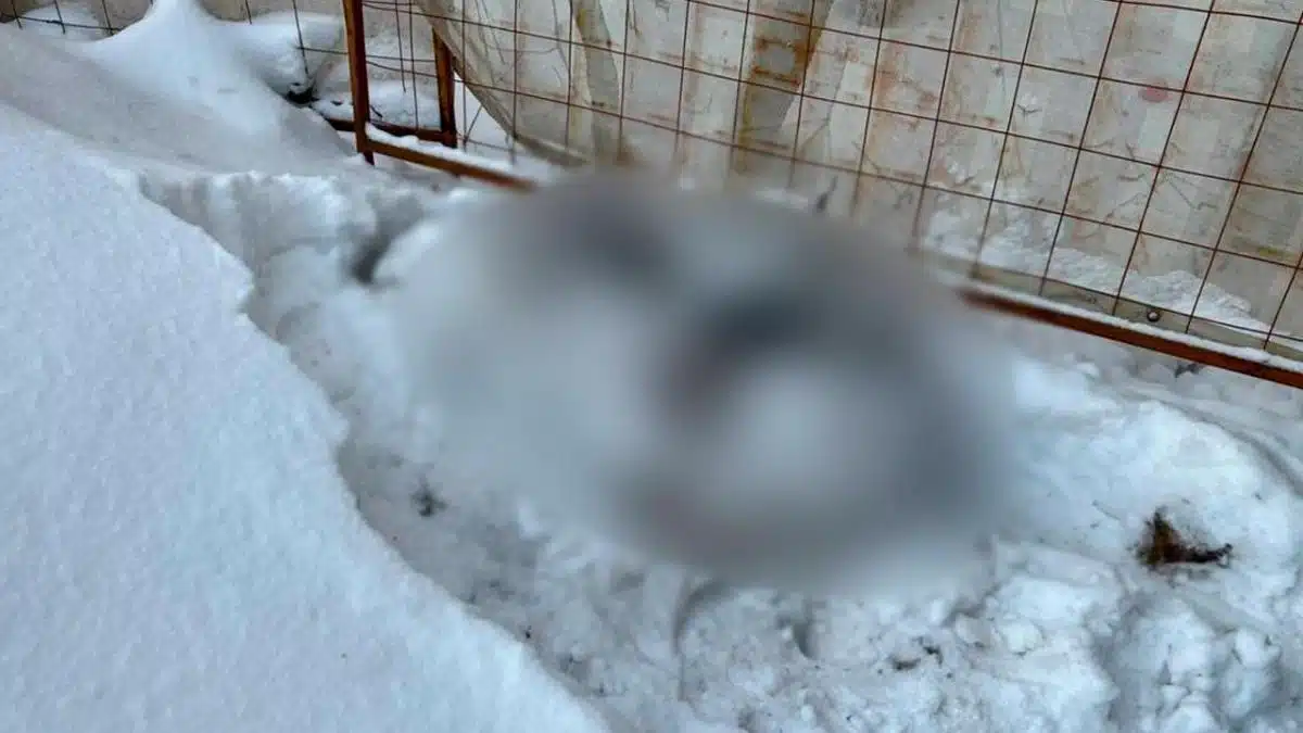 Тело женщины в строительном мешке нашли у дома в Москве