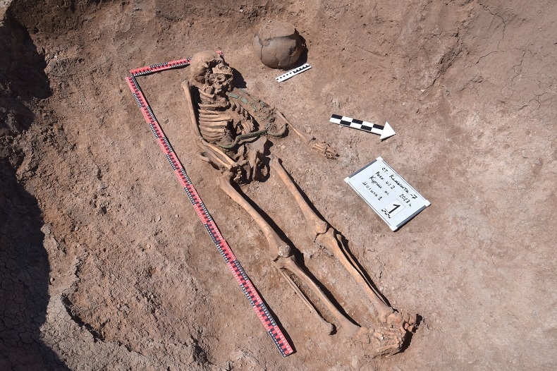 Пояс колесничего нашли в древней могиле в Хакасии