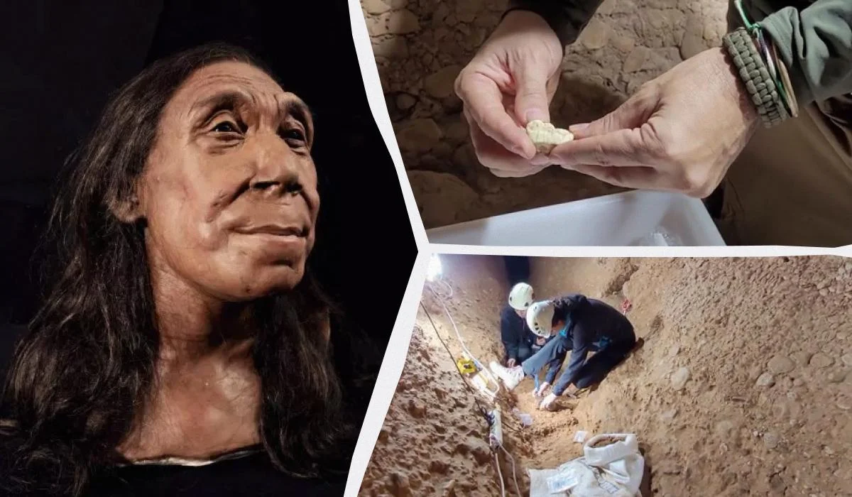 Ученые восстановили внешность неадертальца, жившего 75 тысяч лет назад (фото)