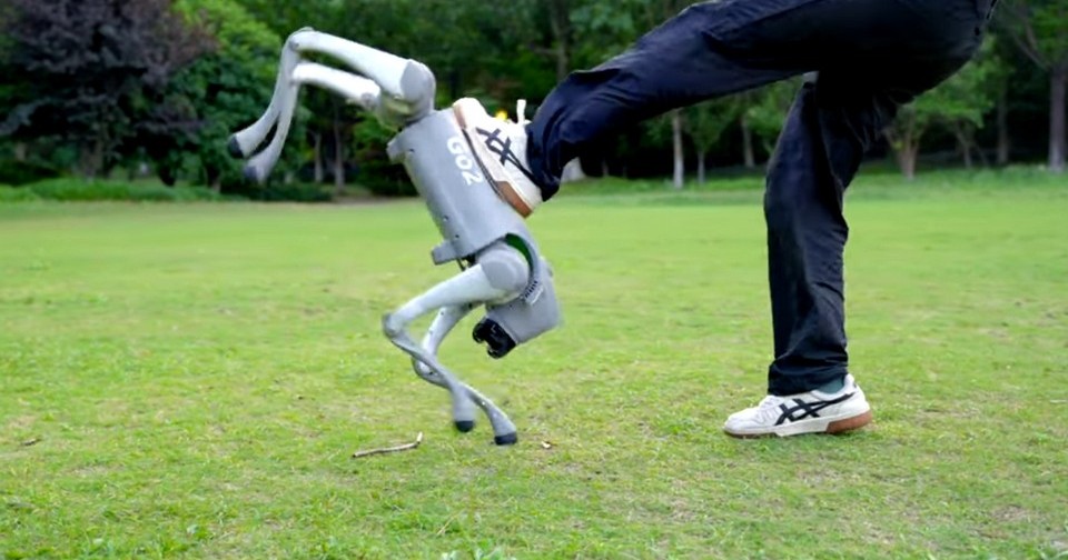 Китайские роботы-собаки испытания Unitree Robotics