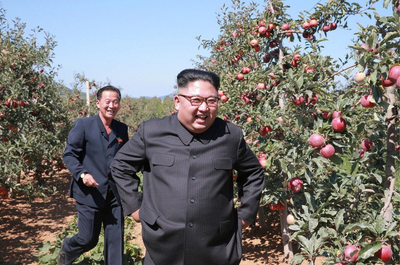 Россия Начнет Закупать Яблоки в Северной Корее