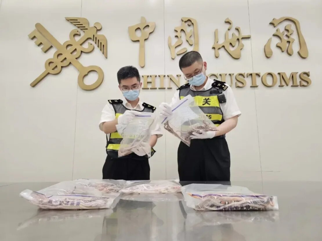 Необычная контрабанда: Китайца поймали на таможне с более чем сотней змей в штанах