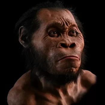 Примитивные, но творческие: Homo Naledi оказались художниками до Homo Sapiens