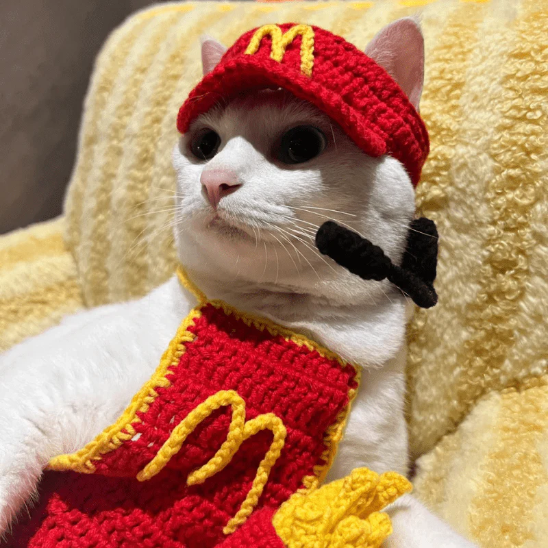 MeowDonald’s: блогер построил ресторан для своих котов