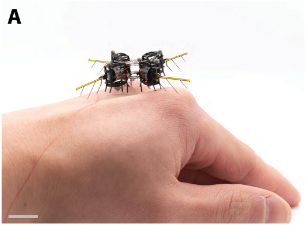 Летающий микроробот MIT обошел насекомых в маневренности