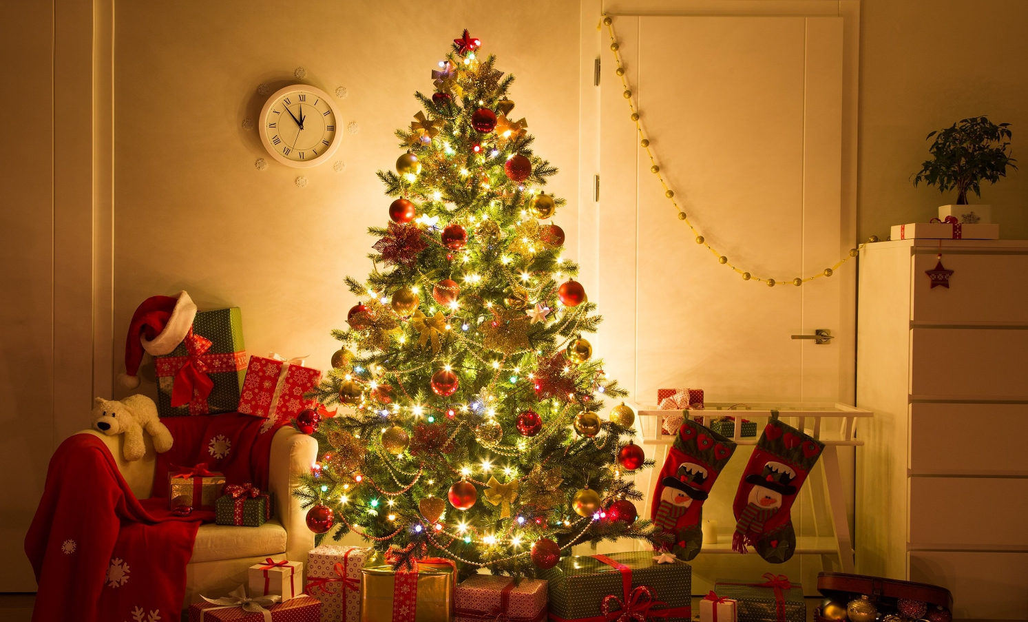 Без магии и примет: как продлить жизнь новогодней елке