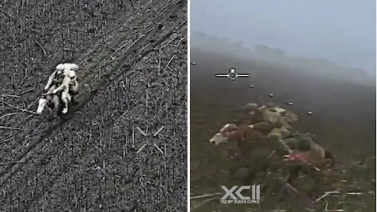 В Украине Российская армия пошла в кавалерийские атаки