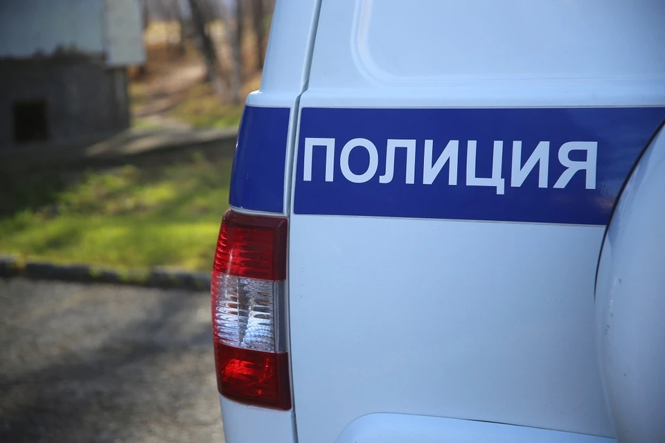 Новогодняя ёлка в школе обернулась убийством в Тыве