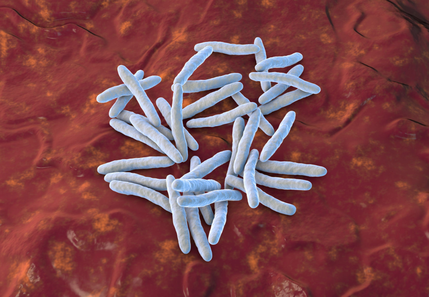 Почему безвредные микробы иногда становятся смертельными