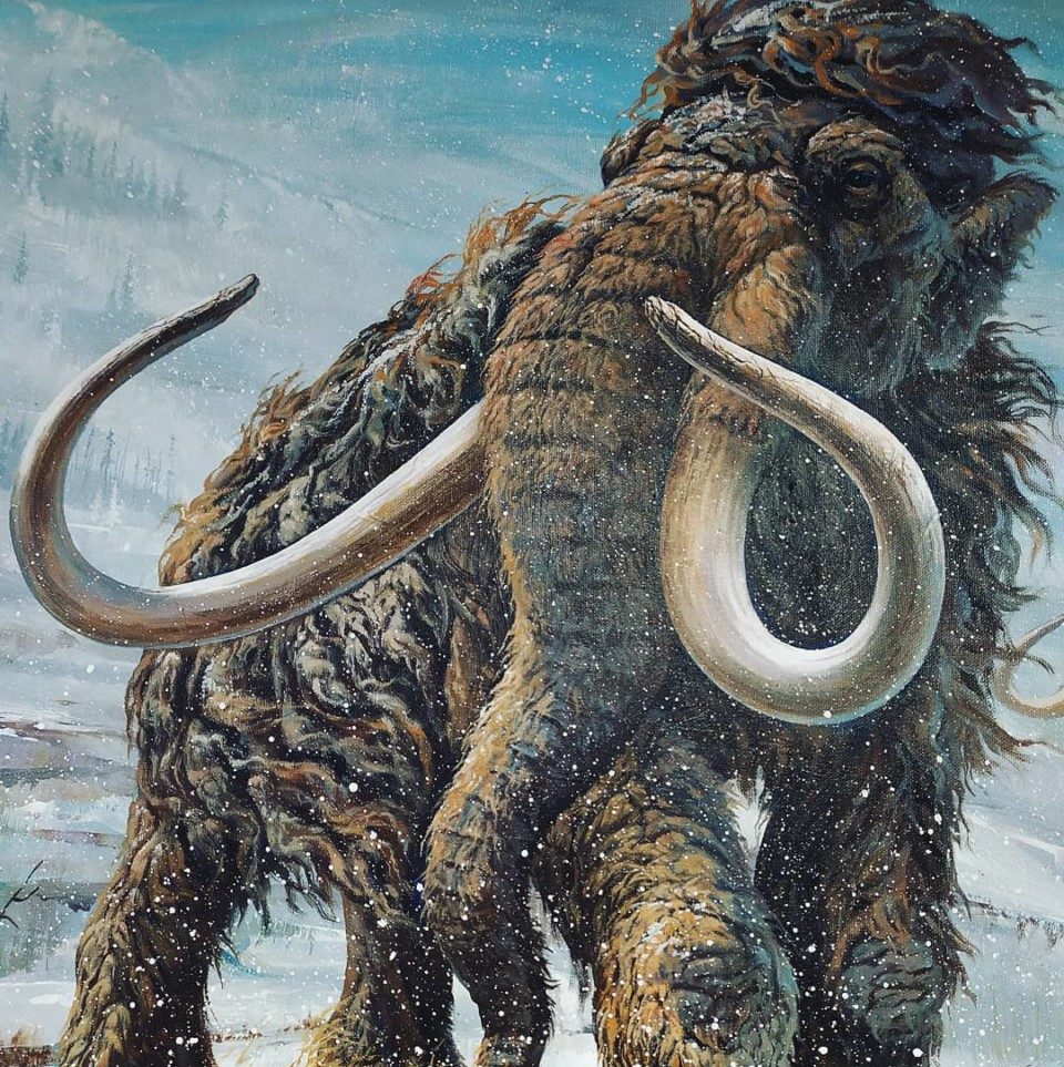 Ошибка длиной в 70 лет: «мамонт» оказался морским гигантом