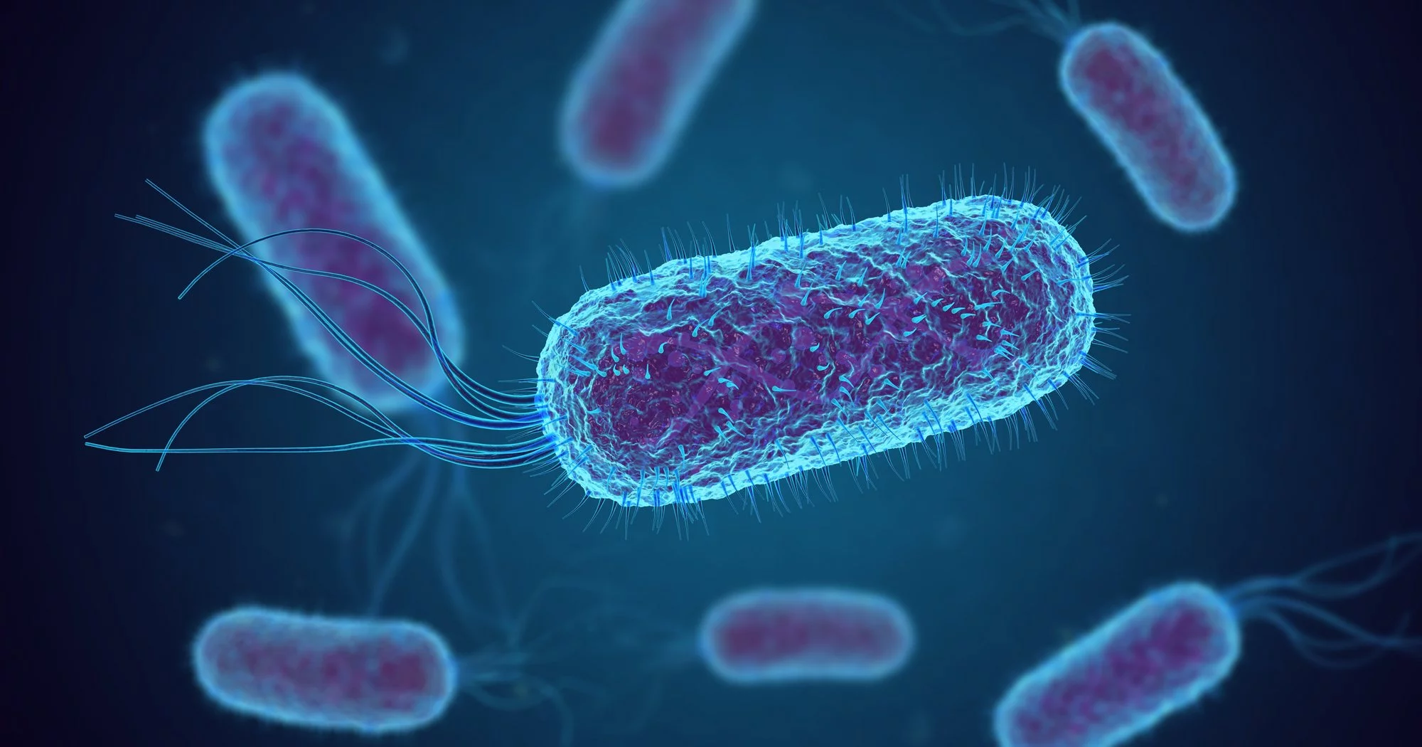 Как микробы в космосе изменили борьбу с инфекциями