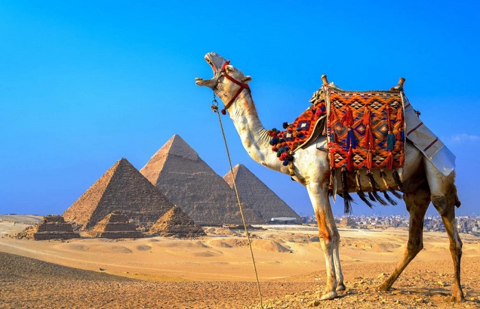 Египет дороже на 5 долларов: с 1 марта повышают визовый сбор