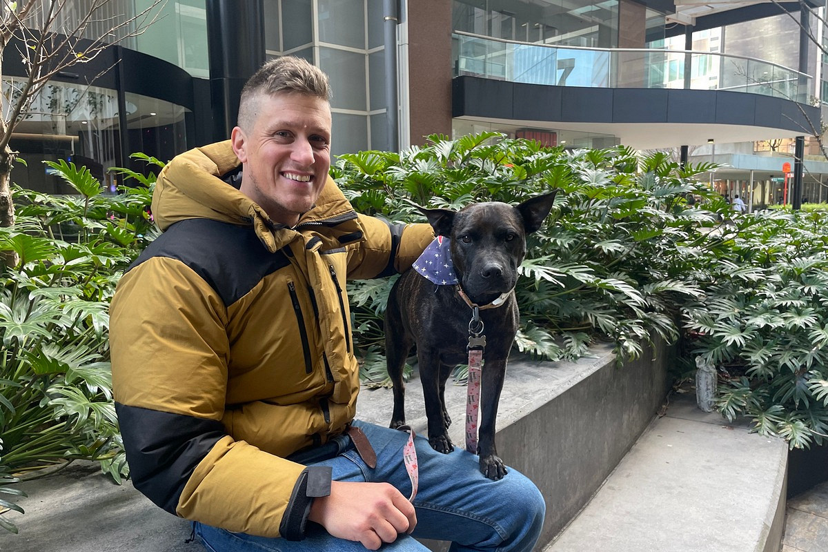 Когда хозяин — программист: ChatGPT выписал рецепт от рака для лабрадора