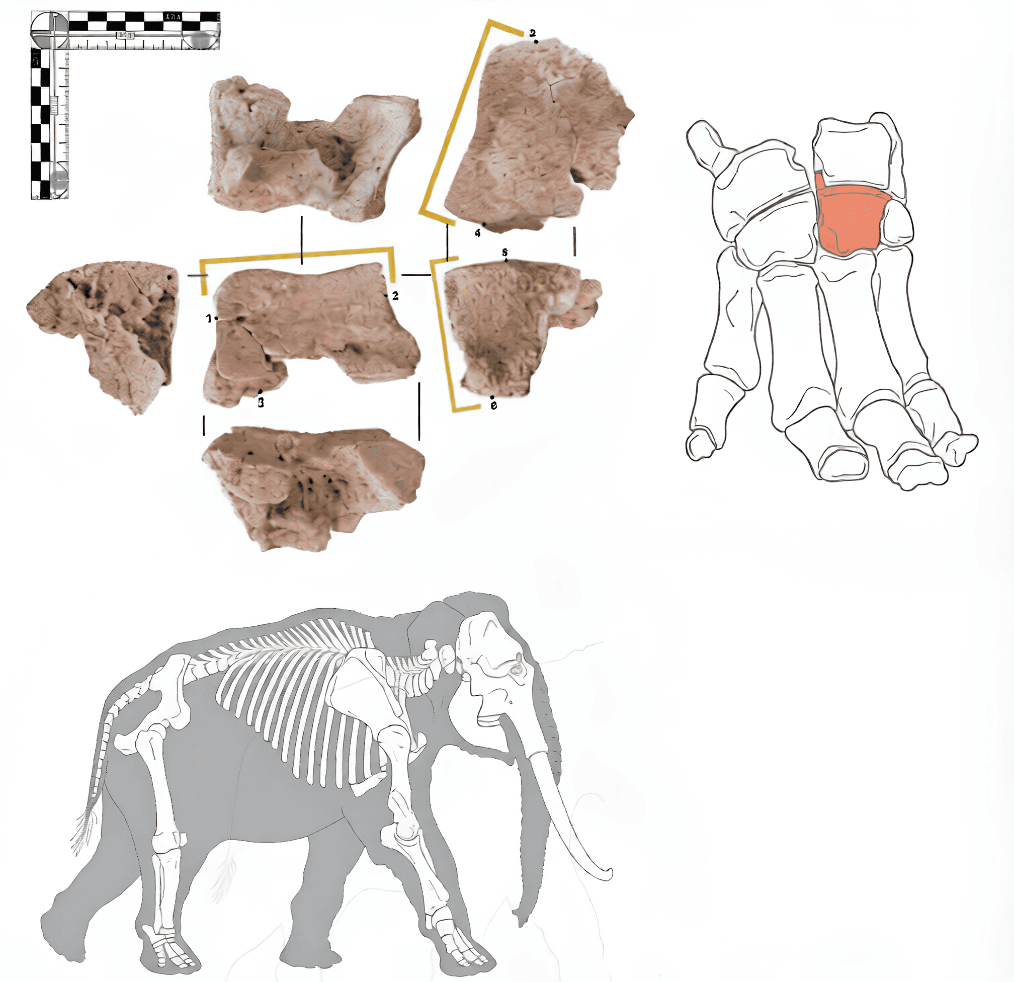 Археологи нашли доказательство похода Ганнибала
