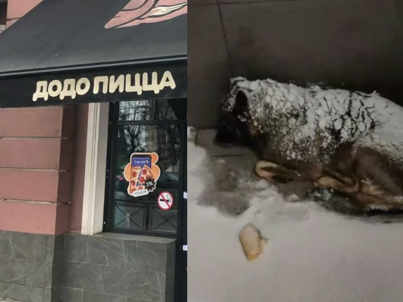 Бойкот «Додо Пиццы» в Челябинске