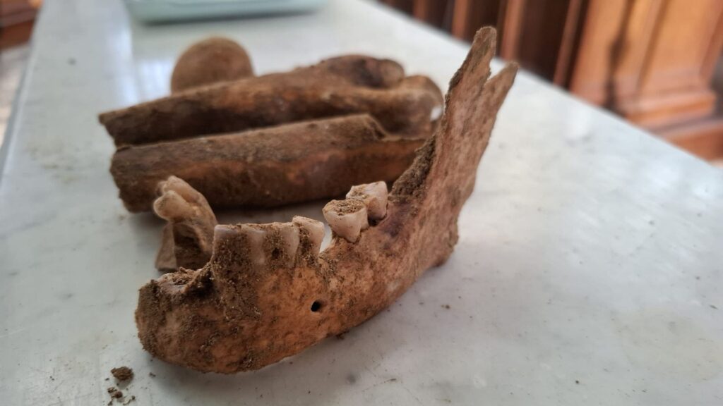 В Нидерландах найден скелет, который может принадлежать мушкетеру д'Артаньяну