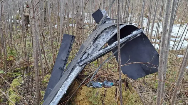 Страны Балтии возлагают ответственность за инциденты с дронами на агрессию РФ