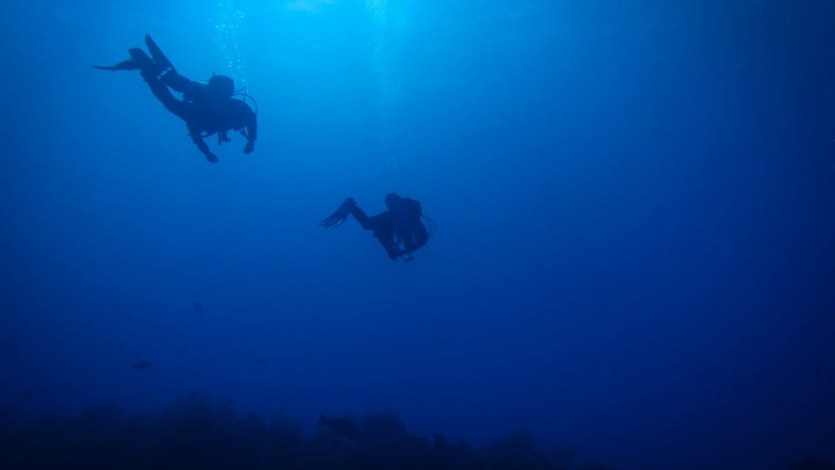 В океанской воронке нашли 1700 новых вирусов