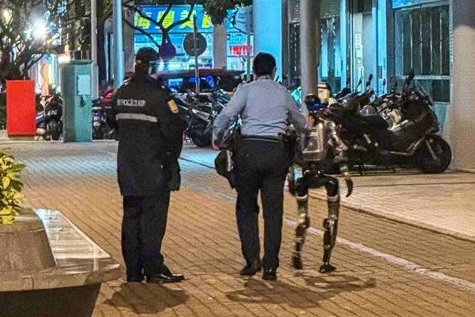 Цифровой арест в Макао: полицейские вмешались в конфликт робота-гуманоида и пенсионерки
