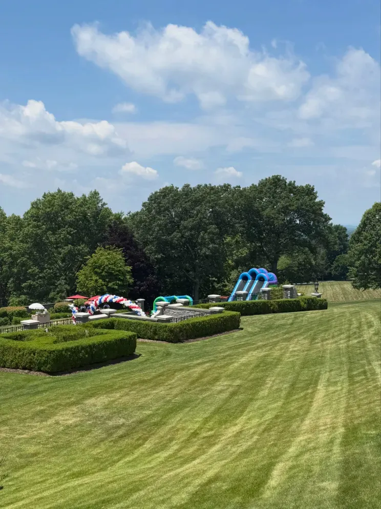 Фото Николы Пельтц