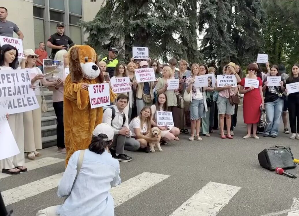 Голос беззащитных: В Кишиневе волонтеры вышли на протест против жестокого обращения с животными