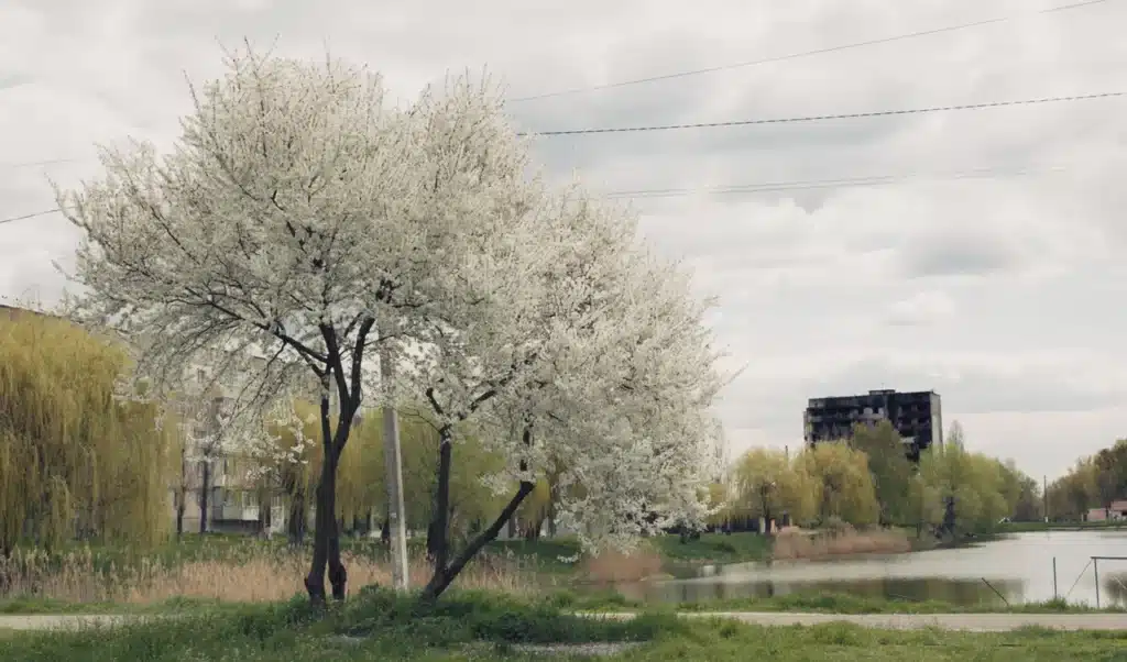 Кадр из фильма