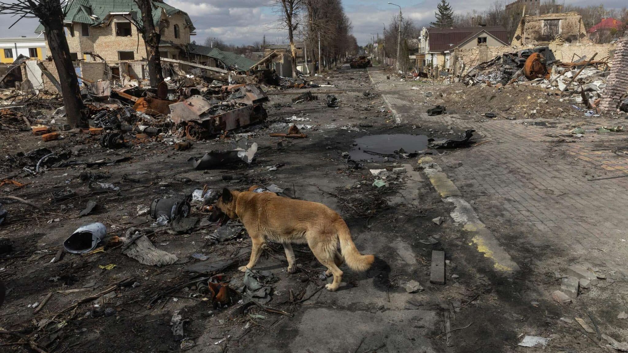 когда весна пришла в бучу